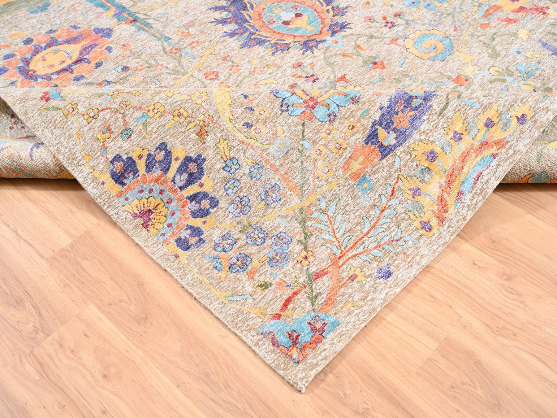 Transitional Rugs LUV560493